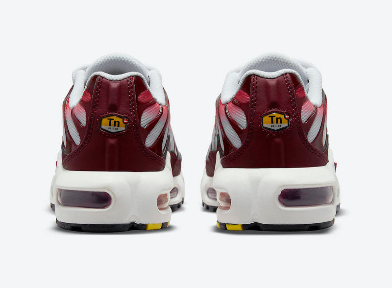 Nike Air Max Tn Homme