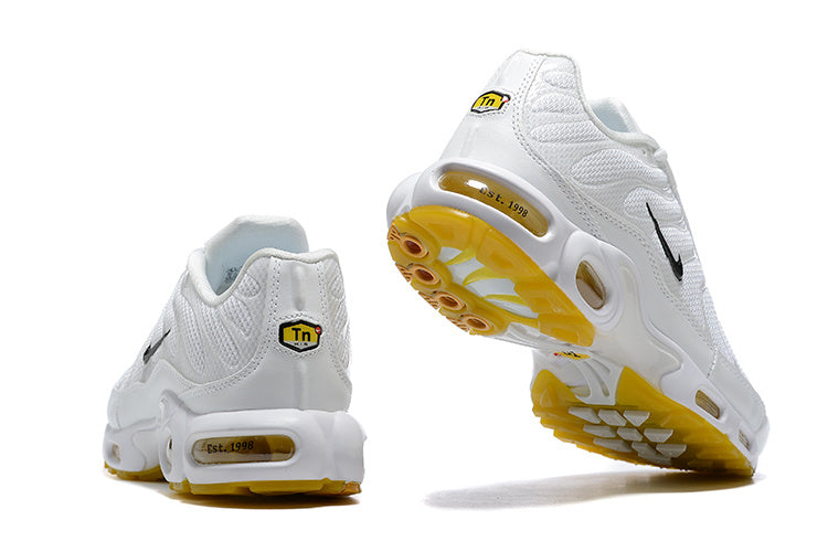 Nike Air Max Tn Homme