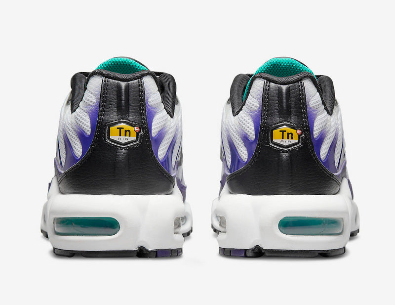 Nike Air Max Tn Homme