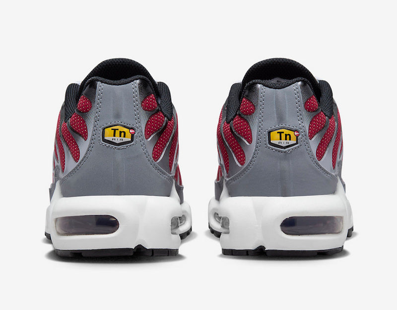 Nike Air Max Tn Homme