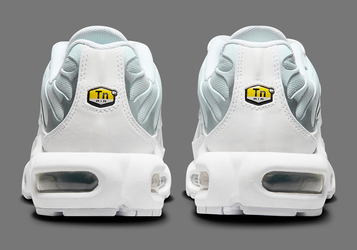 Nike Air Max Tn Homme