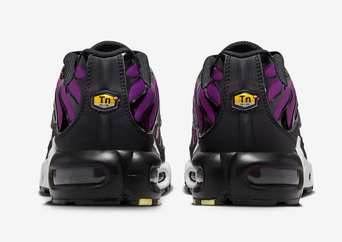 Nike Air Max Tn Homme