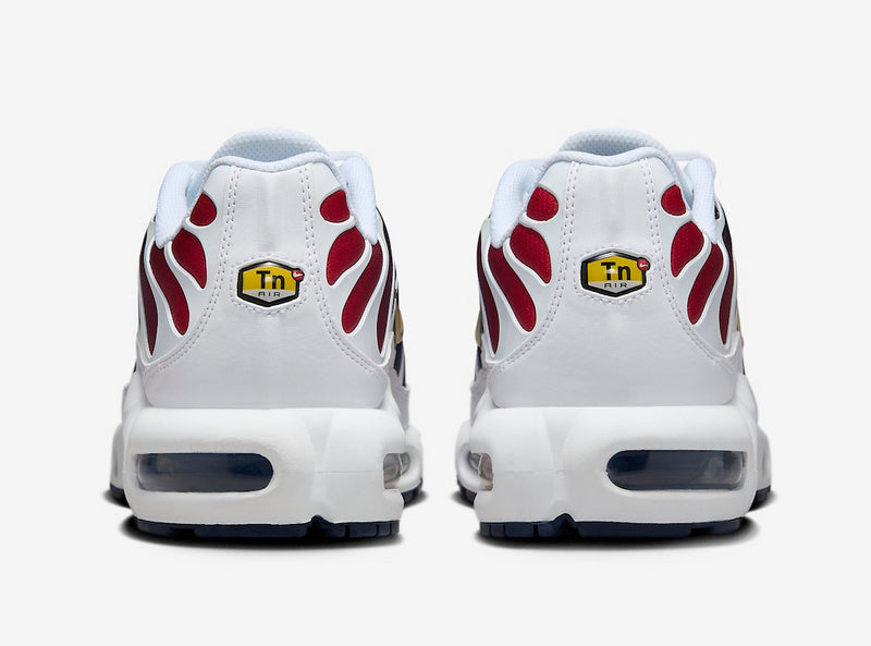 Nike Air Max Tn Homme