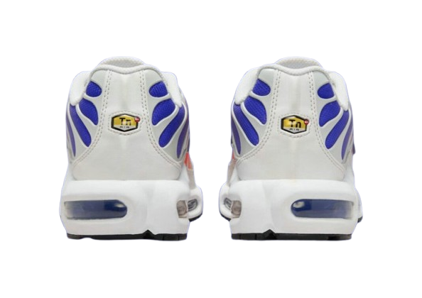 Nike Air Max Tn Homme
