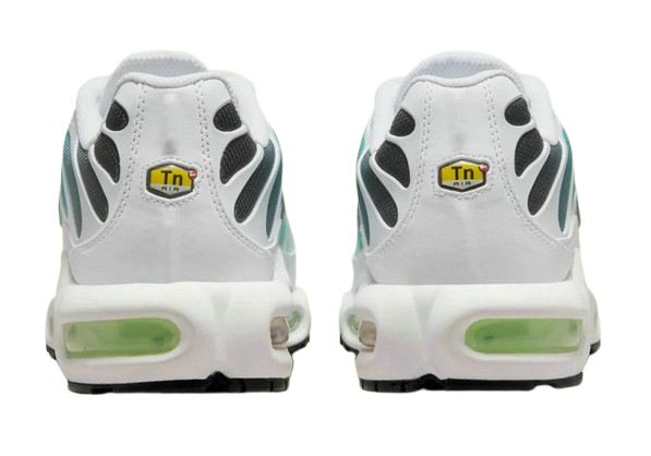 Nike Air Max Tn Homme