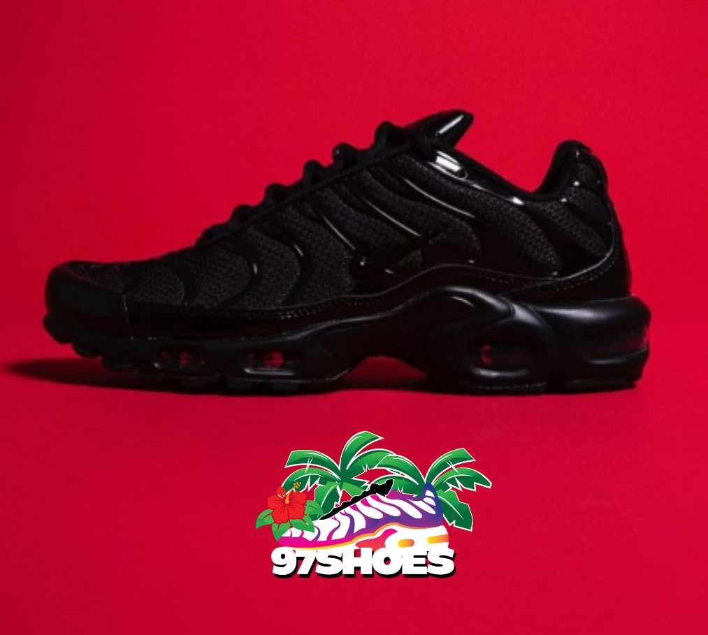 Nike Air Max Tn Homme