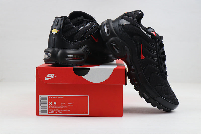 Nike Air Max Tn Homme