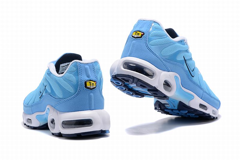 Nike Air Max Tn Homme