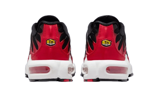 Nike Air Max Tn Homme